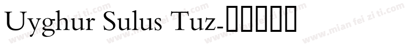 Uyghur Sulus Tuz字体转换